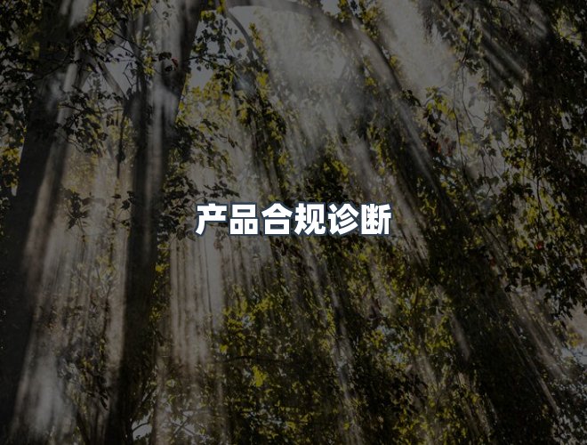 服务优势